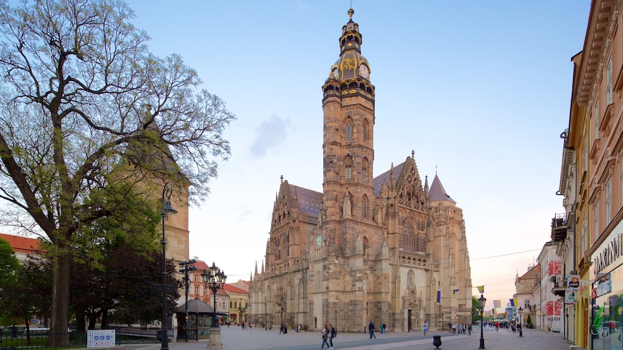 Kosice featuring a city, a church or cathedral and heritage architecture
