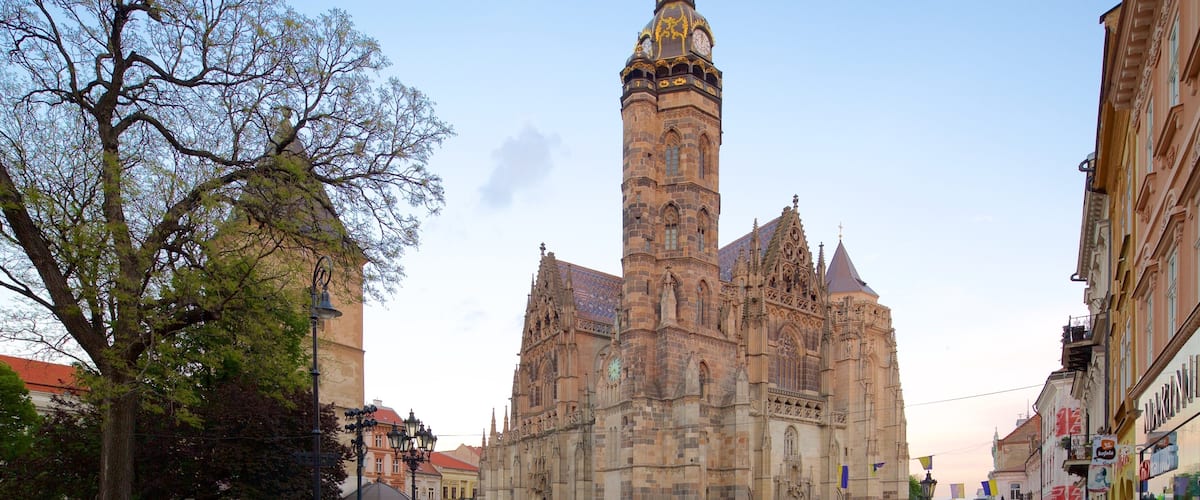 Kosice featuring a city, a church or cathedral and heritage architecture
