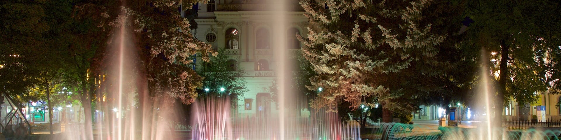 Kosice showing a fountain and night scenes