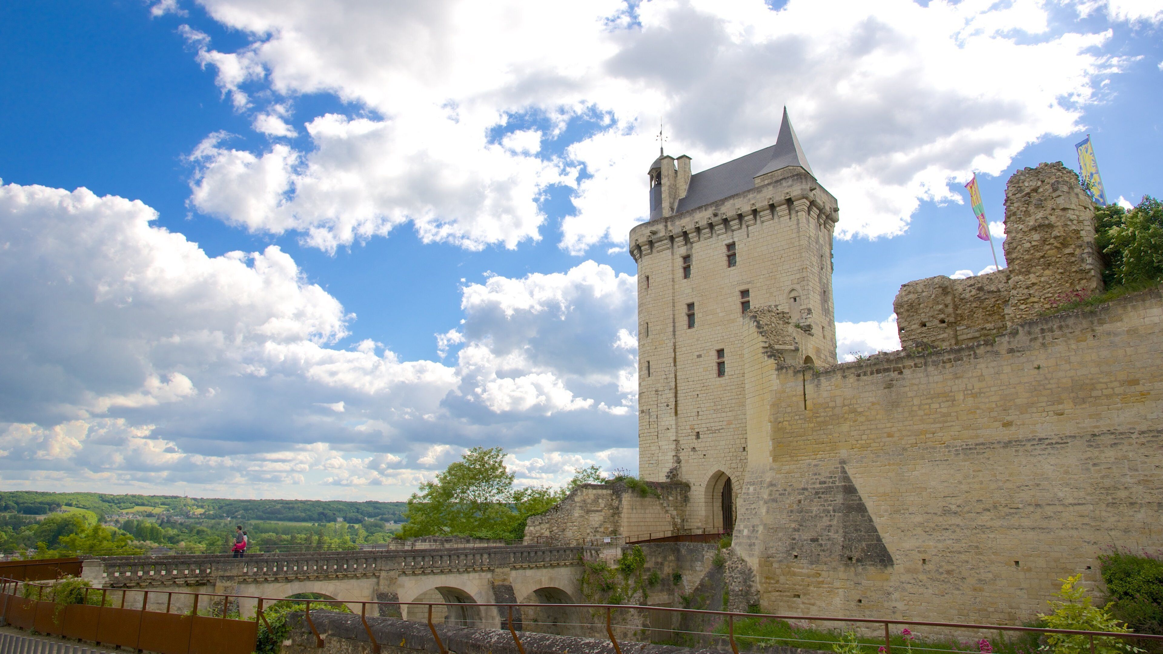 Indre-et-Loire featuring chateau or palace, heritage architecture and heritage elements