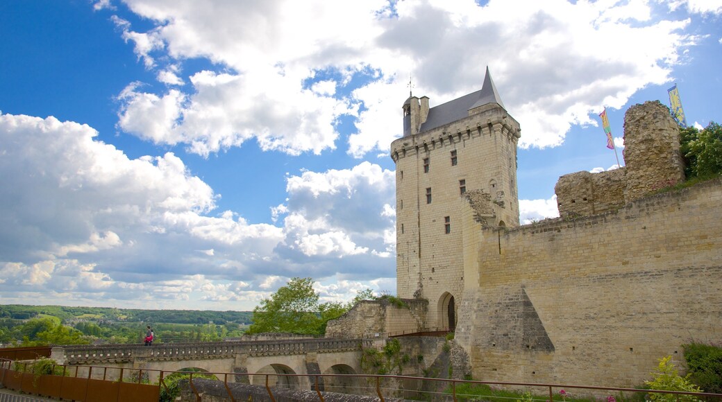 Indre-et-Loire featuring chateau or palace, heritage architecture and heritage elements