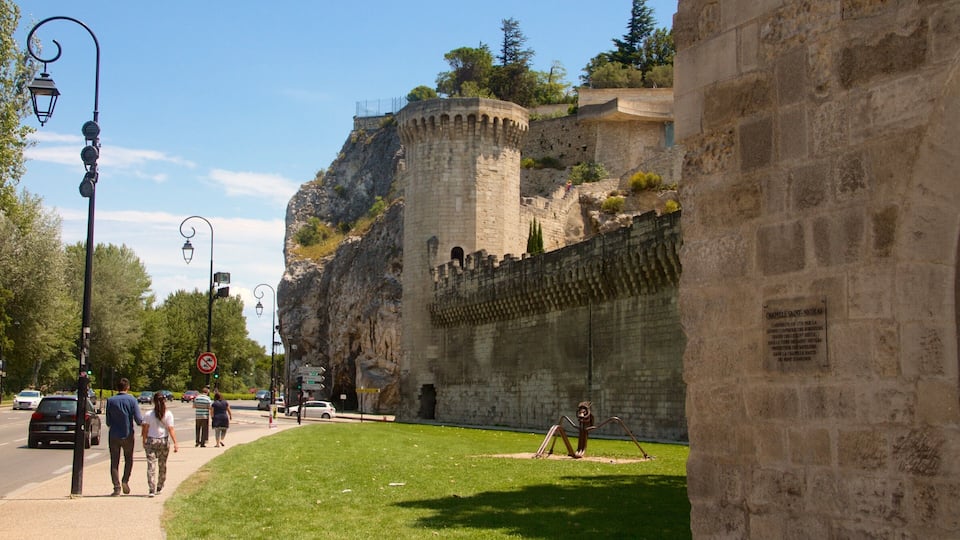 Avignon featuring heritage elements