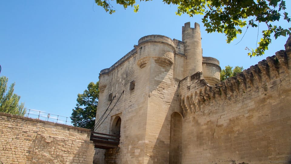Avignon featuring heritage elements