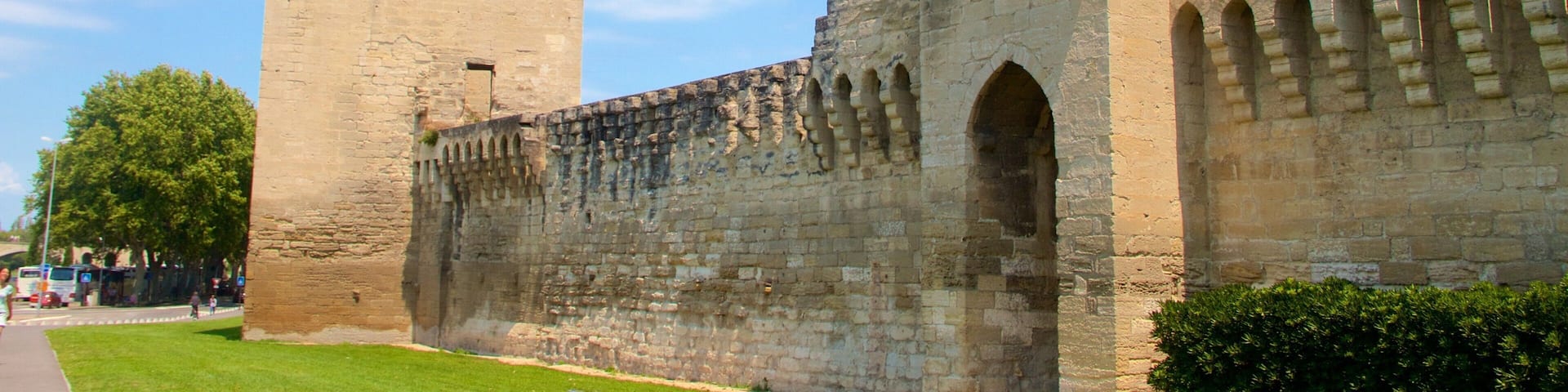 Avignon featuring heritage elements