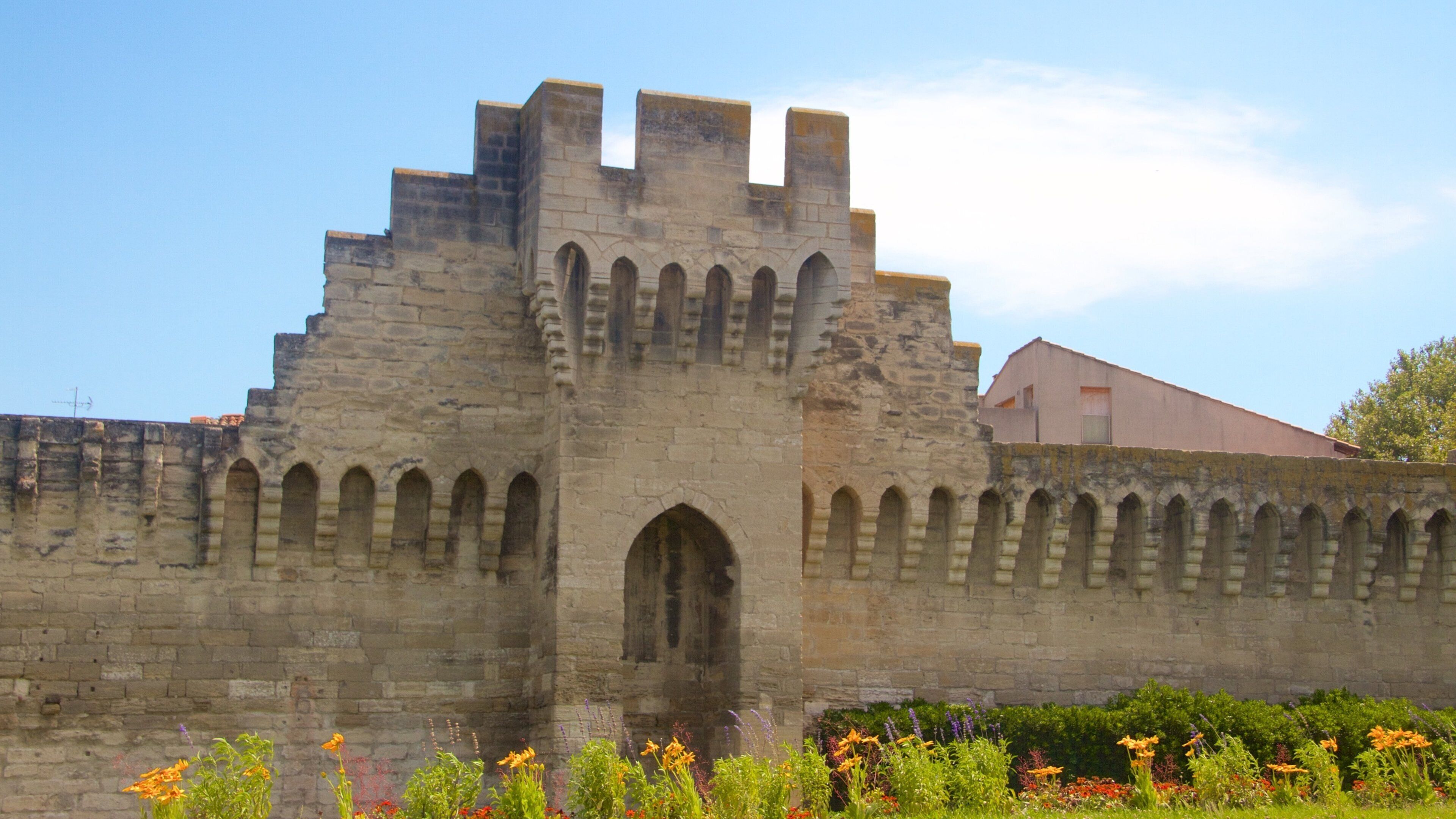 Aviñón ofreciendo elementos patrimoniales