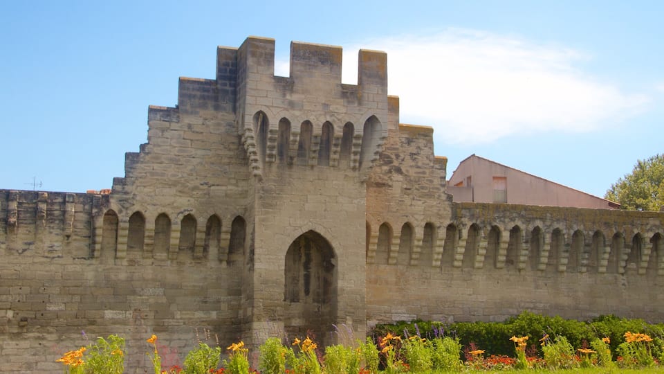 Avignon showing heritage elements