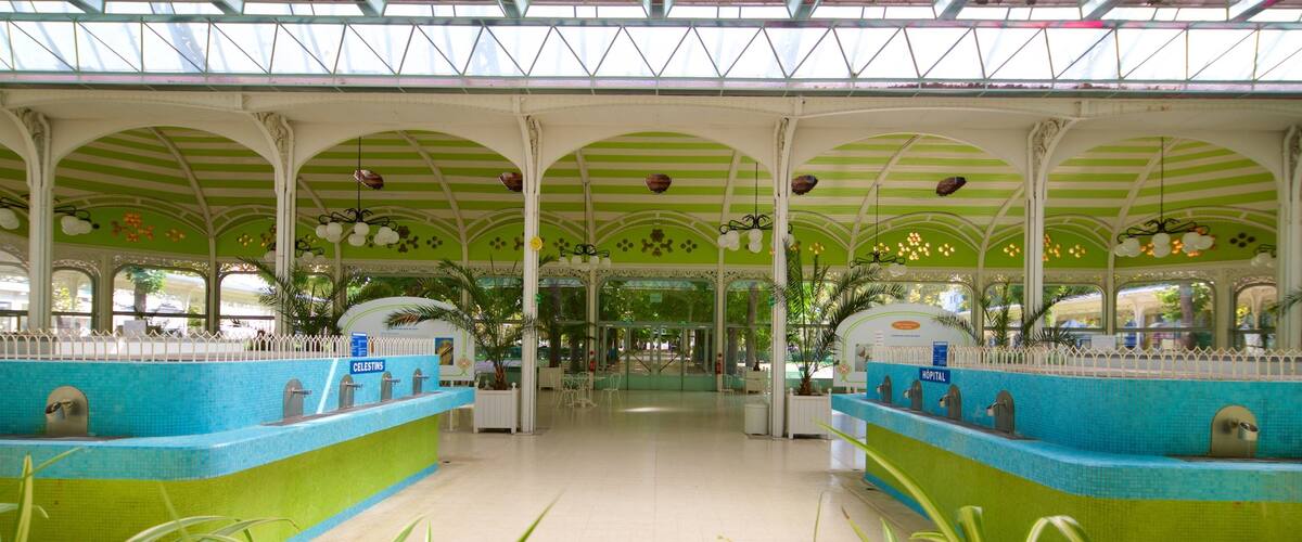 Source des Célestins featuring interior views