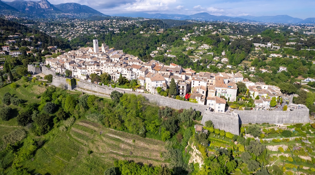Eine historische Stadt mit einer markanten Burg, umgeben von üppiger Vegetation und sanften Hügeln.