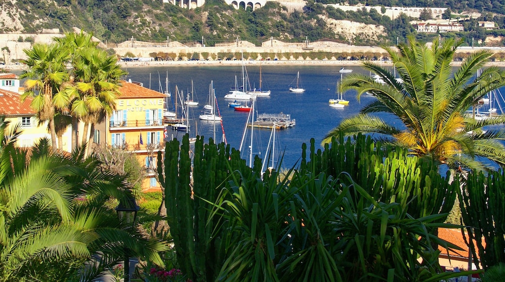 Villefranche-sur-Mer - Allée du Colonel Duval - View NE from the Park
