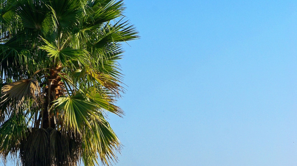 Villefranche-sur-Mer - Avenue Sadi Carnot - View SE on Cap-Ferrat