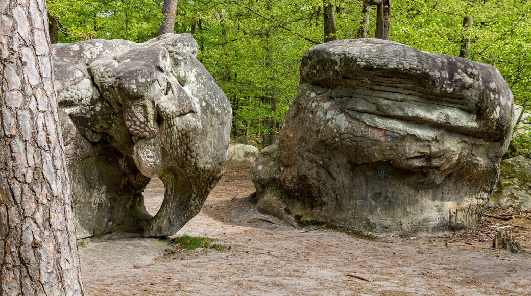L’éléphant en forêt de Fontainebleau