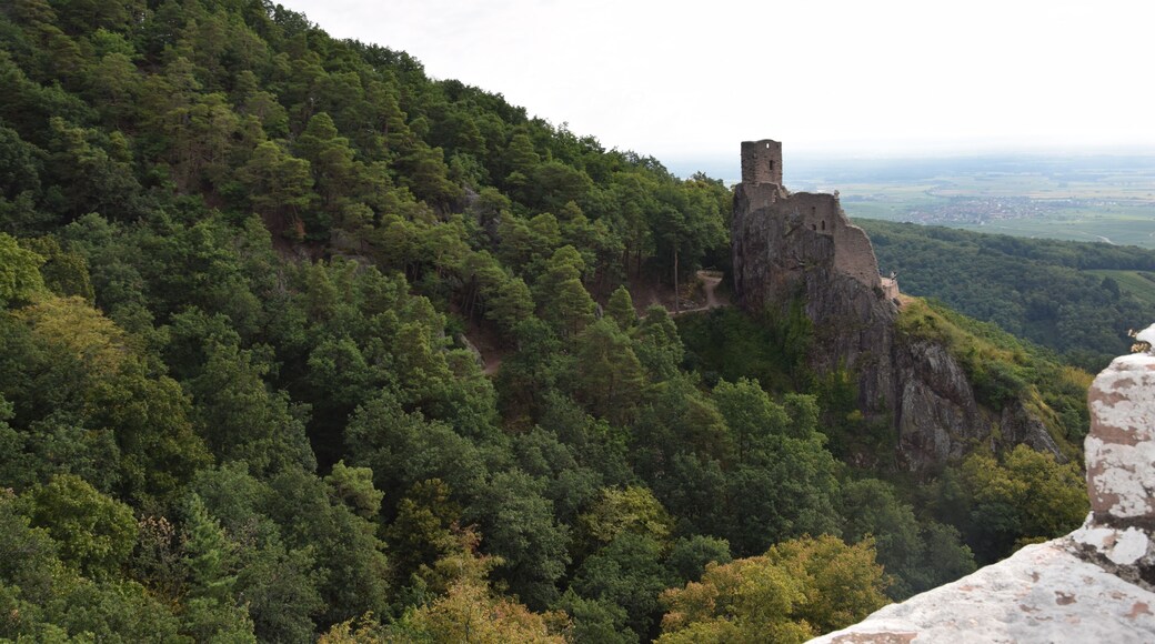 This building is classé au titre des Monuments Historiques. It is indexed in the Base Mérimée, a database of architectural heritage maintained by the French Ministry of Culture, under the references PA00085585 and IA68007143 .