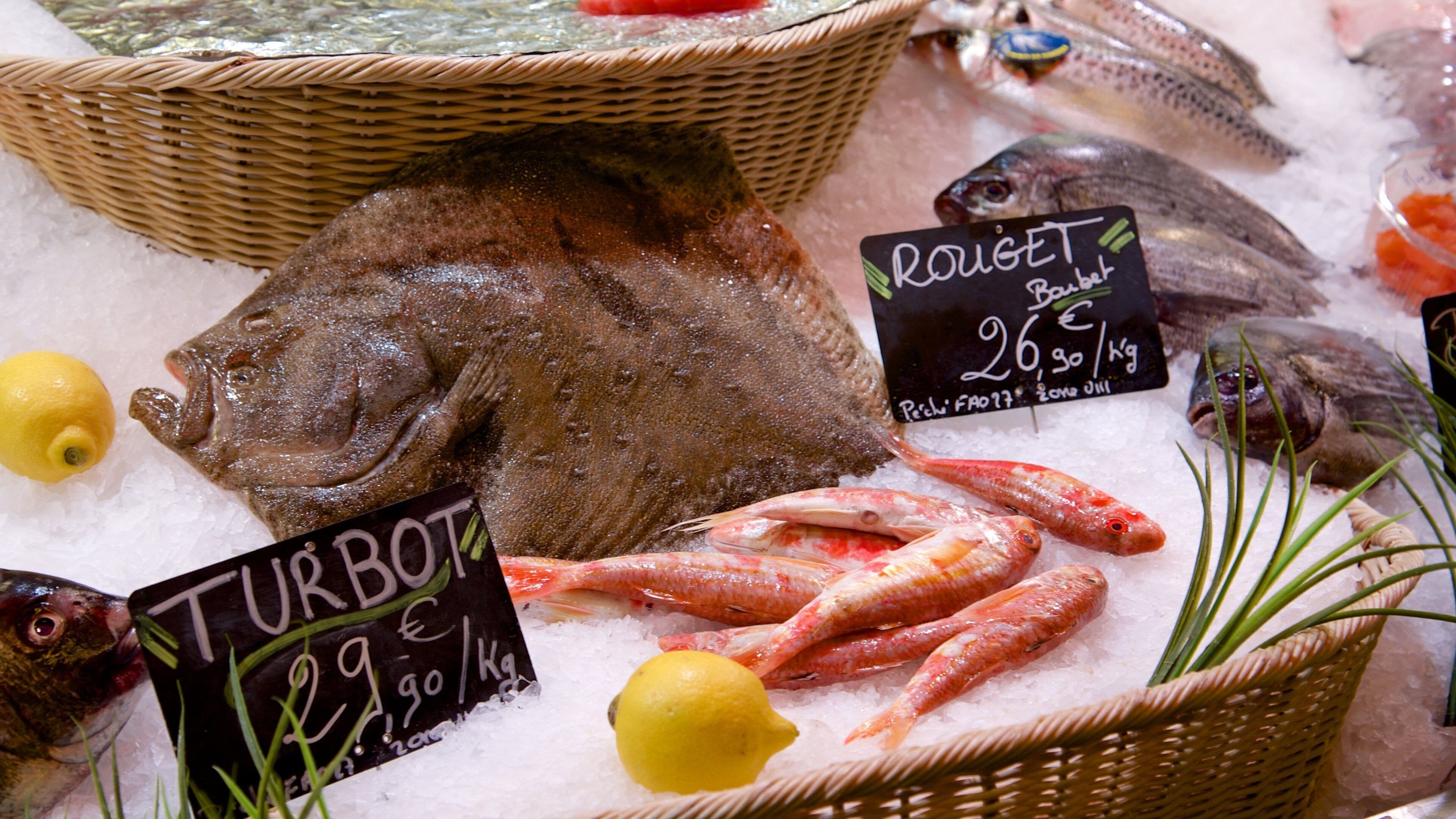 Burdeos ofreciendo comida