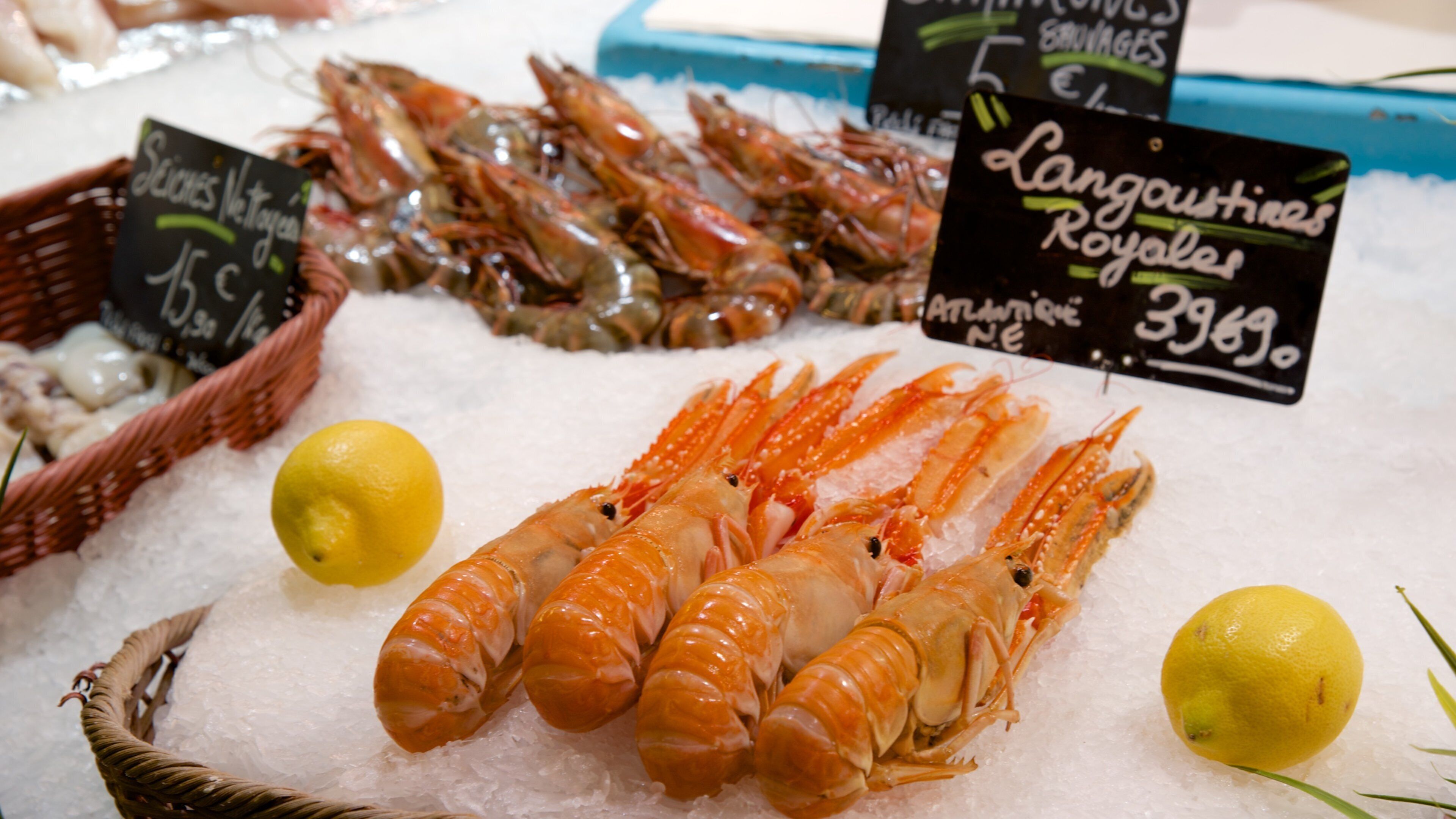 Burdeos ofreciendo comida