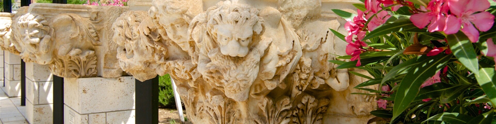 Hierapolis featuring flowers and building ruins