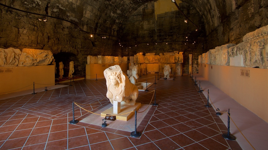 Hierapolis Archaeology Museum which includes interior views and heritage elements