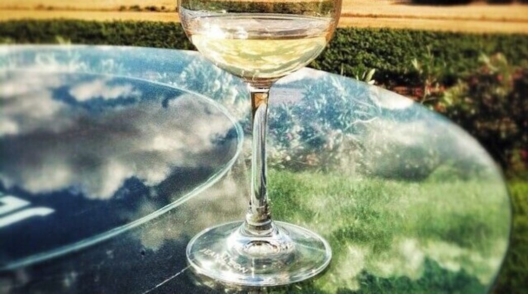 La Rioja may be Spain's most famous wine-producing region, but the Penedès area near Barcelona is also home to some excellent wine.
The Jean Leon Wineries are small but have beautiful views of the surrounding countryside. The wines are also delicious! My personal favorite was the Vinya Gigi Chardonnay (named after Jean Leon's daughter), even though I don't typically like white wines very much.
If you're staying in Barcelona, you can be happily wine tasting in the Penedès region in under an hour's drive.