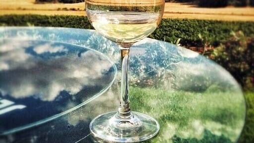 La Rioja may be Spain's most famous wine-producing region, but the Penedès area near Barcelona is also home to some excellent wine.
The Jean Leon Wineries are small but have beautiful views of the surrounding countryside. The wines are also delicious! My personal favorite was the Vinya Gigi Chardonnay (named after Jean Leon's daughter), even though I don't typically like white wines very much.
If you're staying in Barcelona, you can be happily wine tasting in the Penedès region in under an hour's drive.