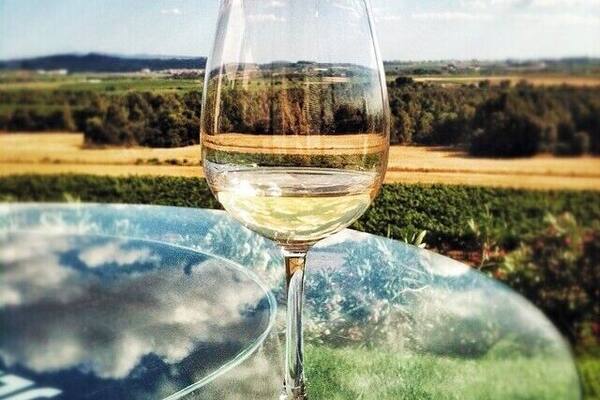 La Rioja may be Spain's most famous wine-producing region, but the Penedès area near Barcelona is also home to some excellent wine.
The Jean Leon Wineries are small but have beautiful views of the surrounding countryside. The wines are also delicious! My personal favorite was the Vinya Gigi Chardonnay (named after Jean Leon's daughter), even though I don't typically like white wines very much.
If you're staying in Barcelona, you can be happily wine tasting in the Penedès region in under an hour's drive.