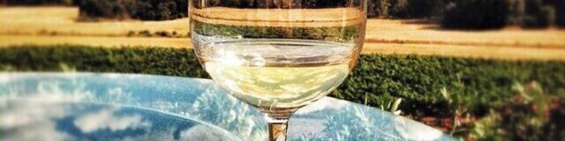 La Rioja may be Spain's most famous wine-producing region, but the Penedès area near Barcelona is also home to some excellent wine. 
The Jean Leon Wineries are small but have beautiful views of the surrounding countryside. The wines are also delicious! My personal favorite was the Vinya Gigi Chardonnay (named after Jean Leon's daughter), even though I don't typically like white wines very much. 
If you're staying in Barcelona, you can be happily wine tasting in the Penedès region in under an hour's drive.