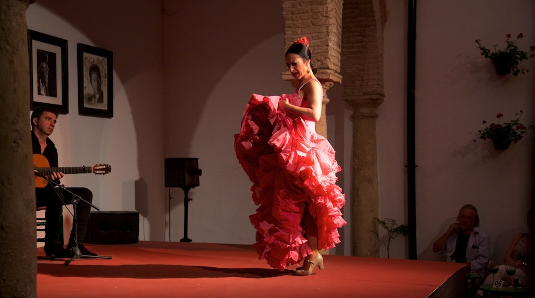 CĂłrdoba que inclui arte performĂĄtica e vistas internas assim como uma mulher sozinha