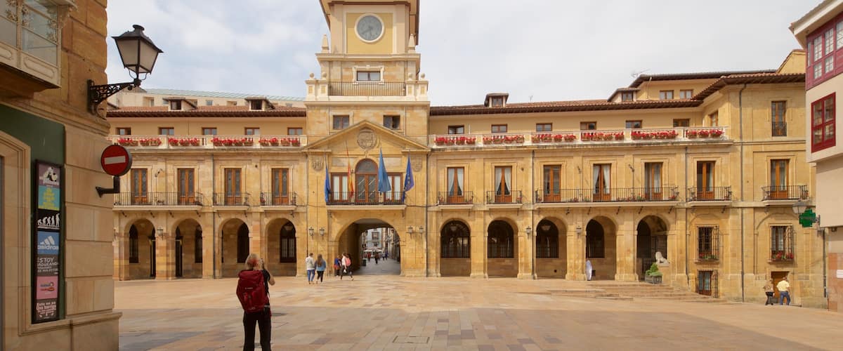 Ayuntamiento de Oviedo que incluye elementos del patrimonio, escenas urbanas y un parque o plaza