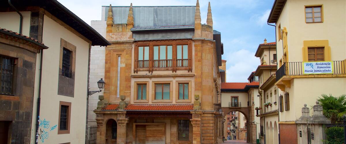Museo Arqueológico de Asturias ofreciendo elementos del patrimonio