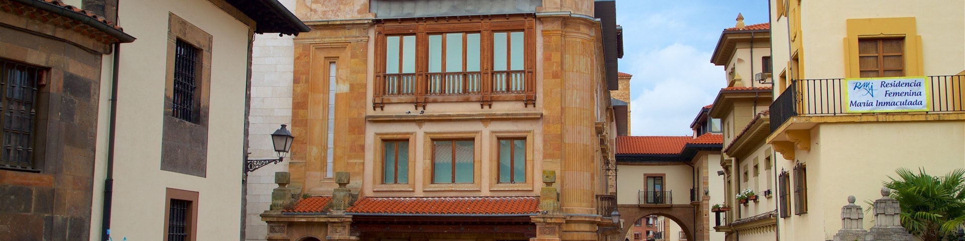 Museu Arqueológico de Astúrias que inclui elementos de patrimônio