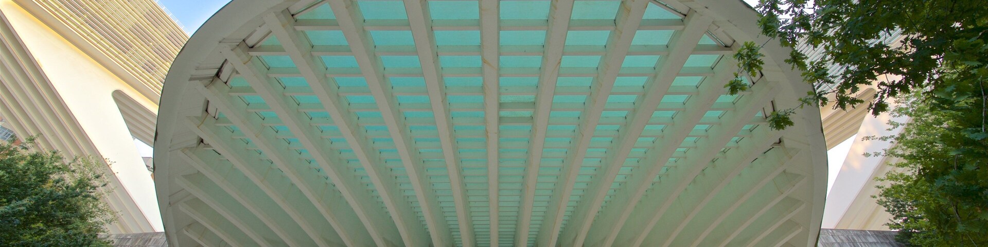 Palacio de Exposiciones y Congresos showing modern architecture