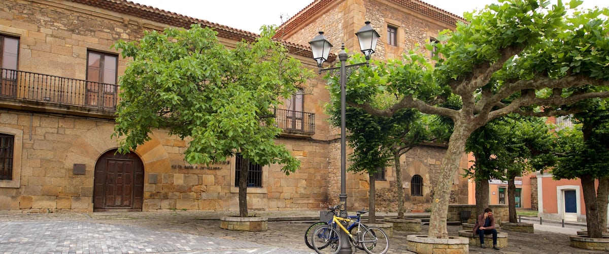 Jovellanos Birthplace Museum which includes heritage elements