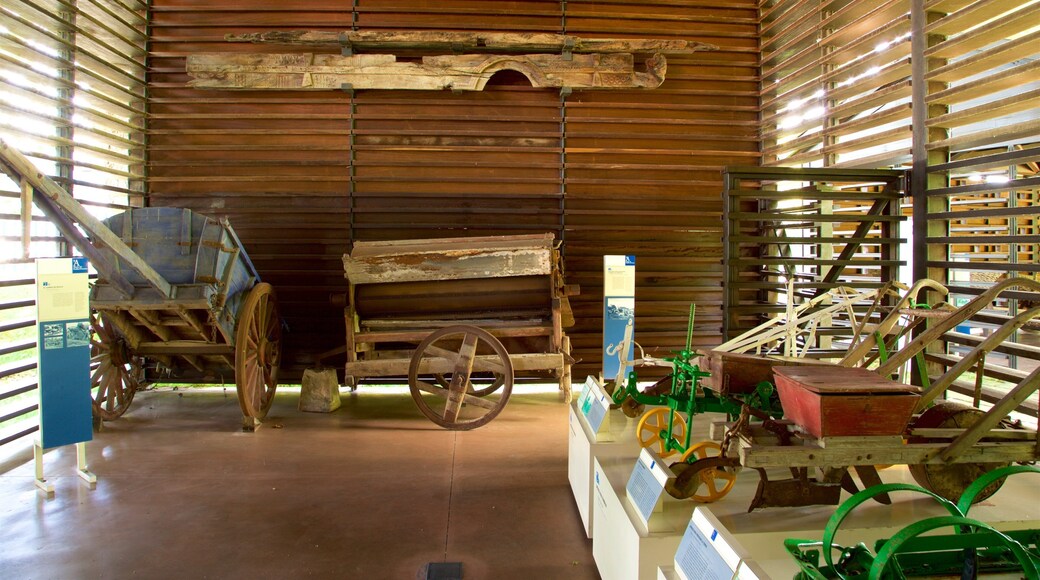 Museo del Popolo delle Asturie che include vista interna