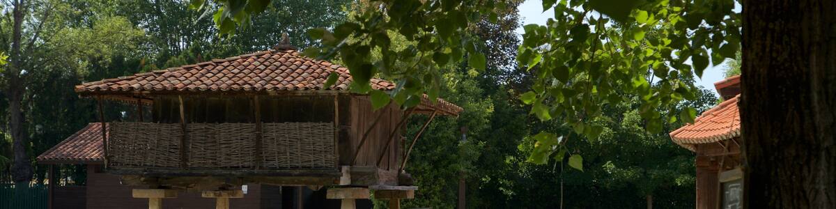 Museum of the Asturian People showing heritage elements as well as a small group of people