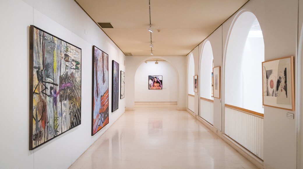 Museum of Cadiz which includes art and interior views