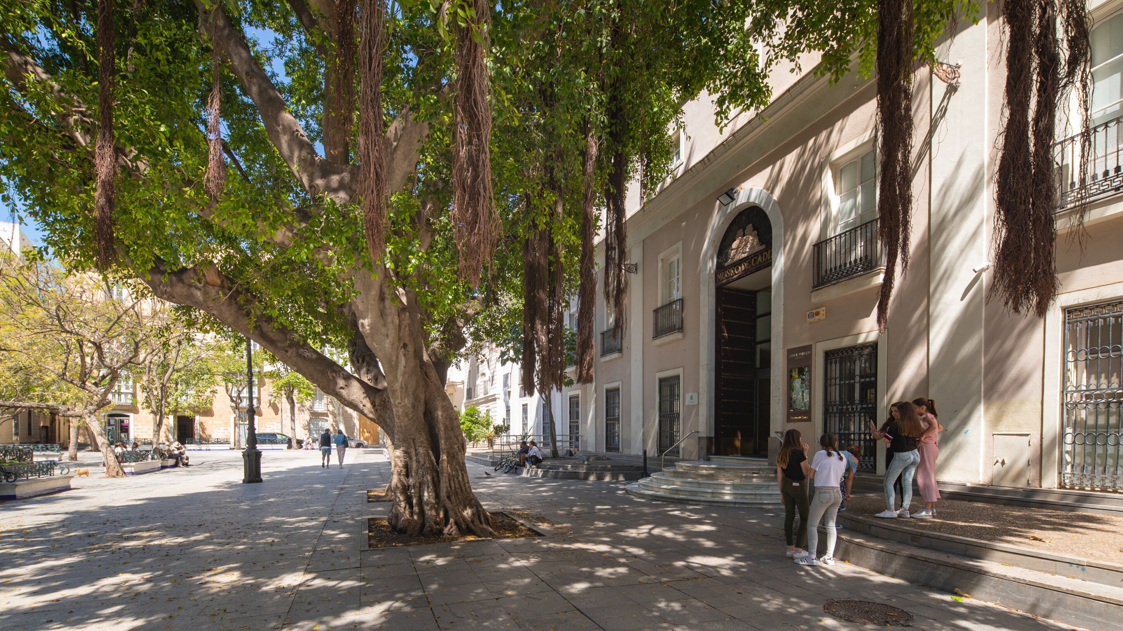St Maarten and St Martin as well as a small group of people