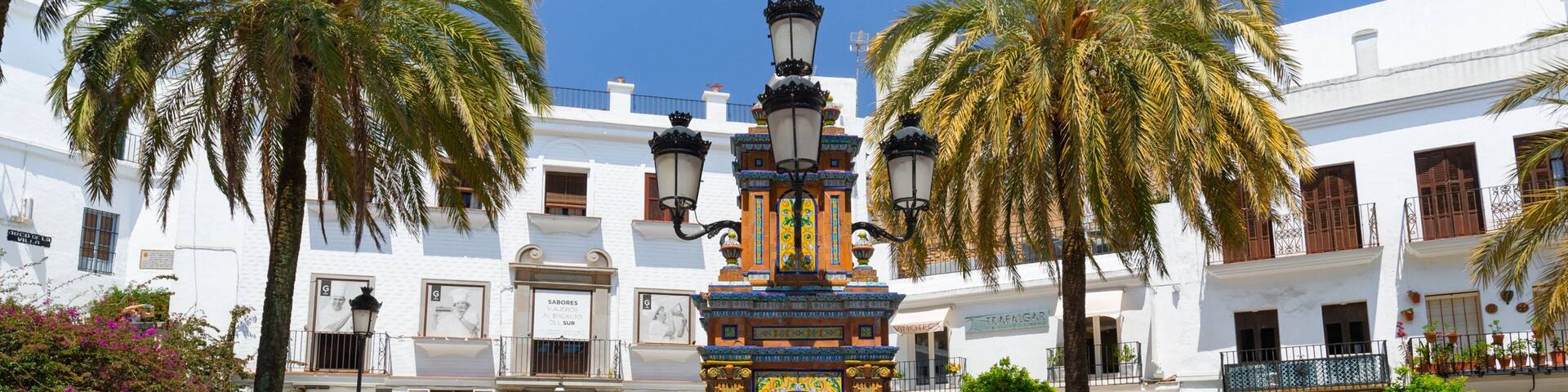 Plaza de Espana featuring a fountain