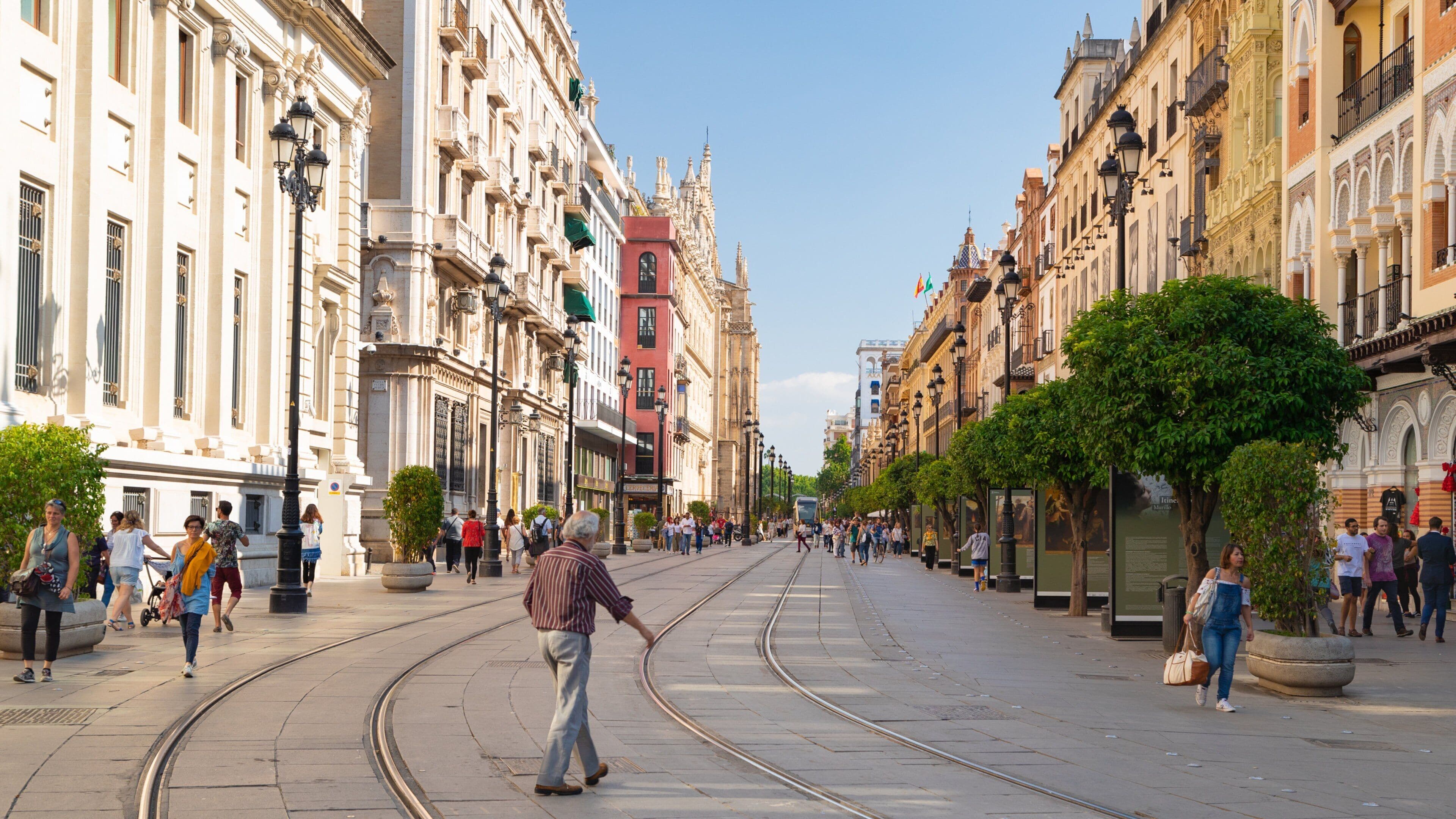 Plaza de San Francisco showing a city and street scenes as well as an individual male