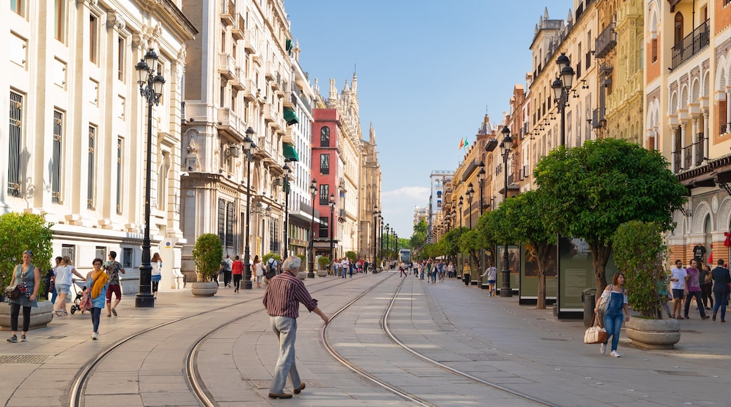 Plaza de San Francisco showing a city and street scenes as well as an individual male