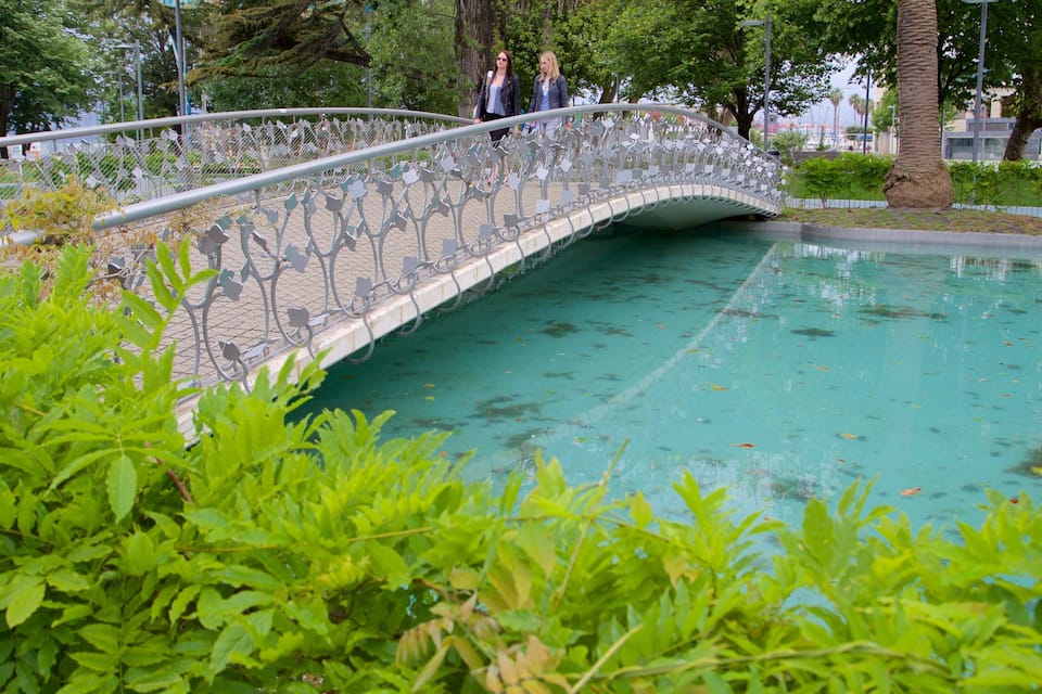 A bridge over a pool with greenery in the foreground.