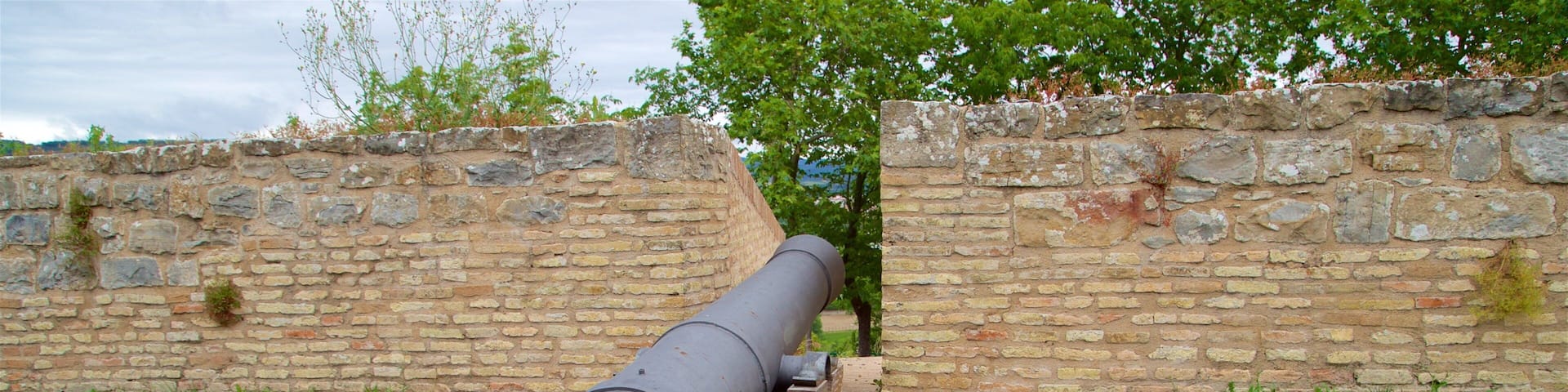 A large cannon mounted on a wooden carriage, positioned between two stone walls.