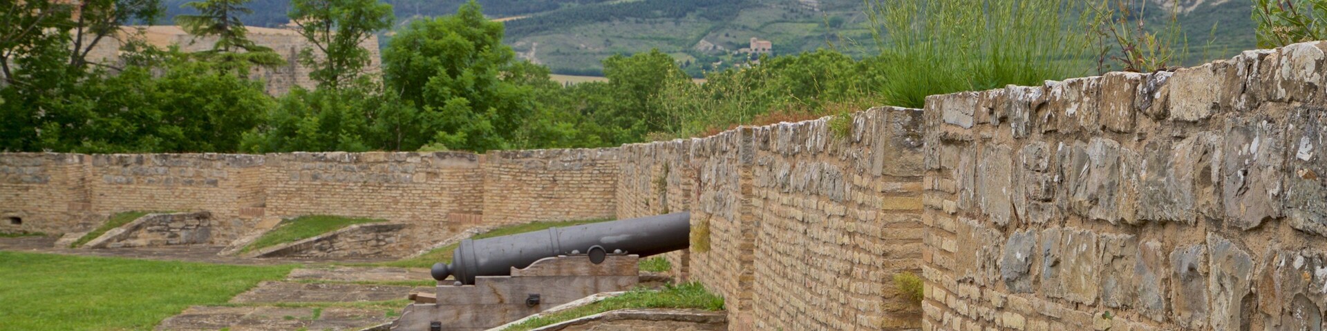 FortĂn de San BartolomĂ© featuring military items and heritage elements