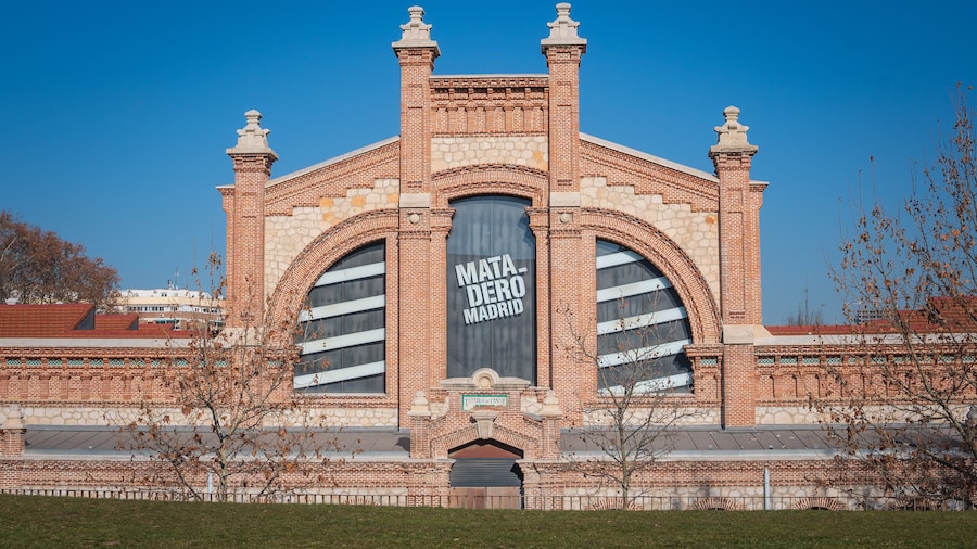 ๋งํ๋ฐ๋ก ๋ง๋๋ฆฌ๋