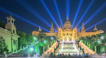 Night view of Magic Fountain in Barcelona