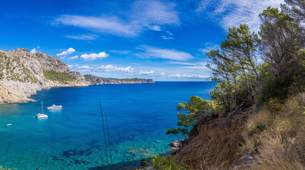Panoramic picture of lovely Platja des Coll Baix on Mallorca island