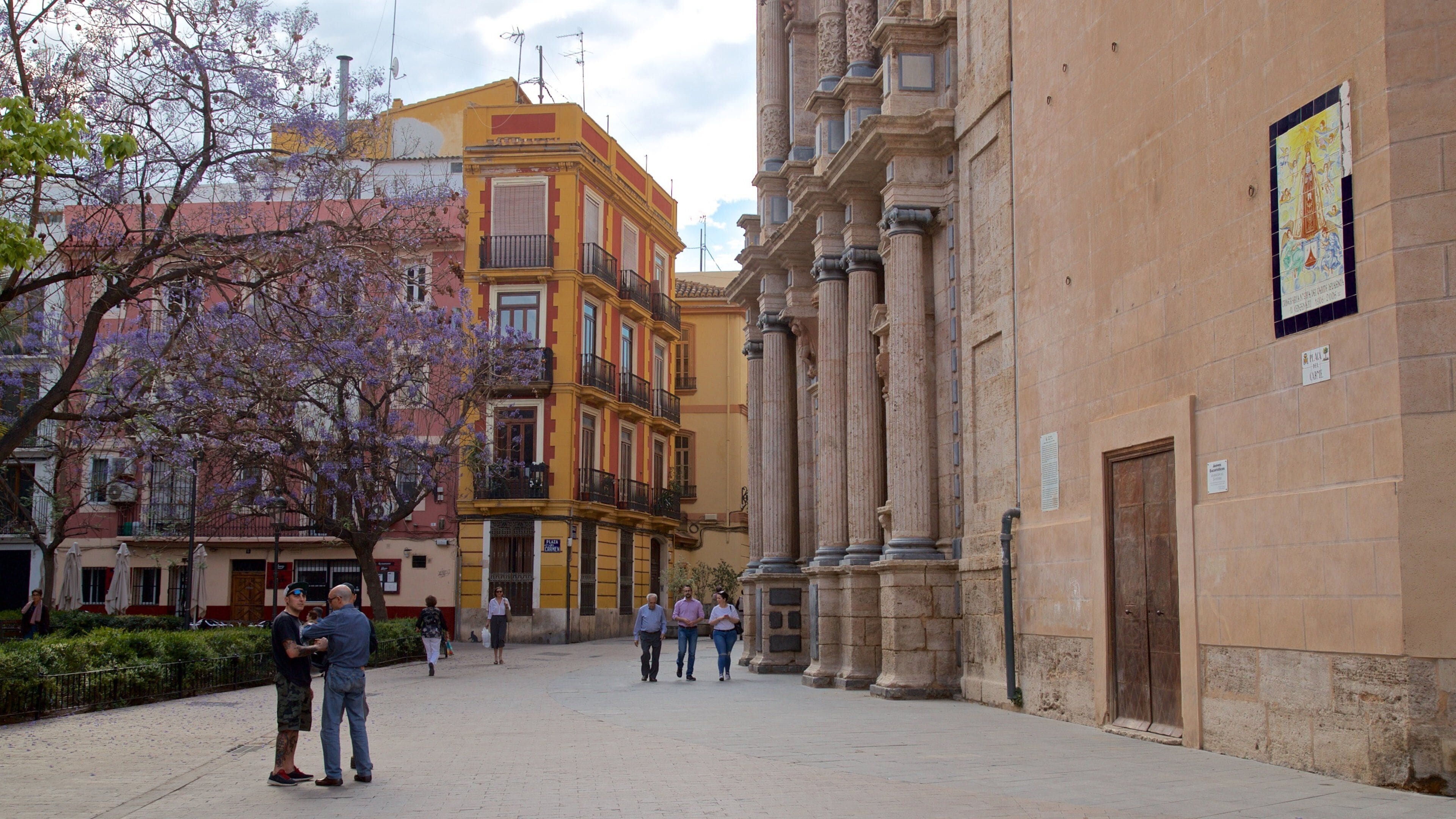 Plaza del Carmen which includes street scenes as well as a couple