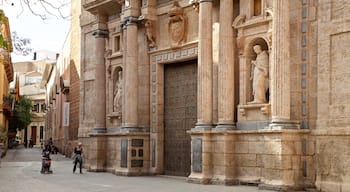 Plaza del Carmen which includes heritage elements