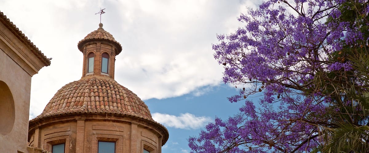 Plaza del Carmen featuring heritage elements and wildflowers