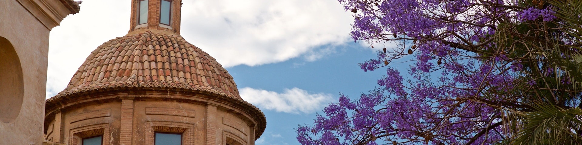 Plaza del Carmen featuring heritage elements and wildflowers