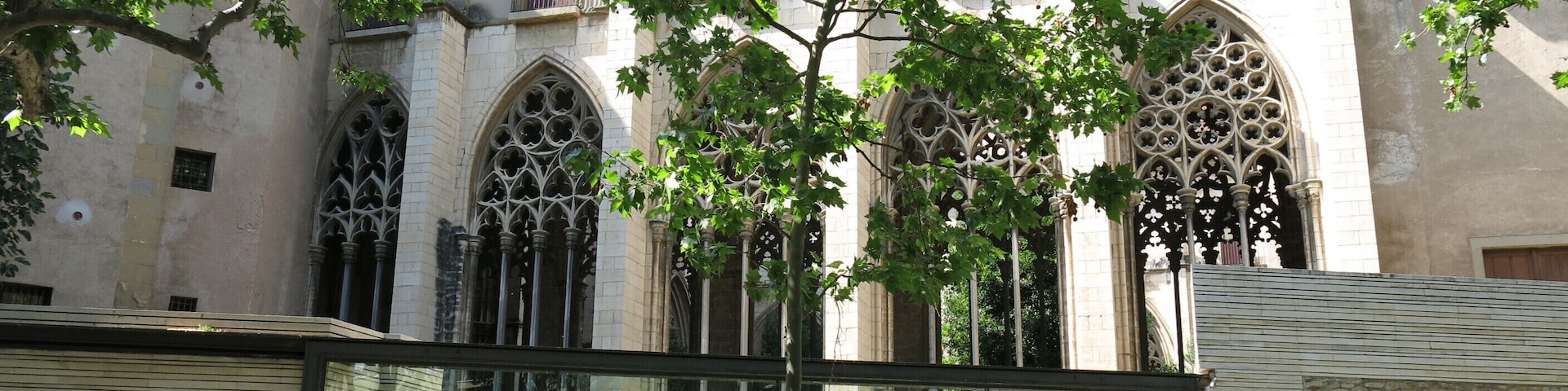 Catedral de Sant Pere (Vic)