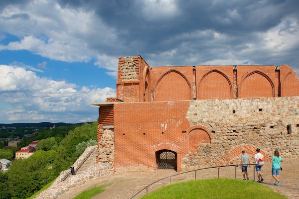 Upper Castle Museum which includes a castle