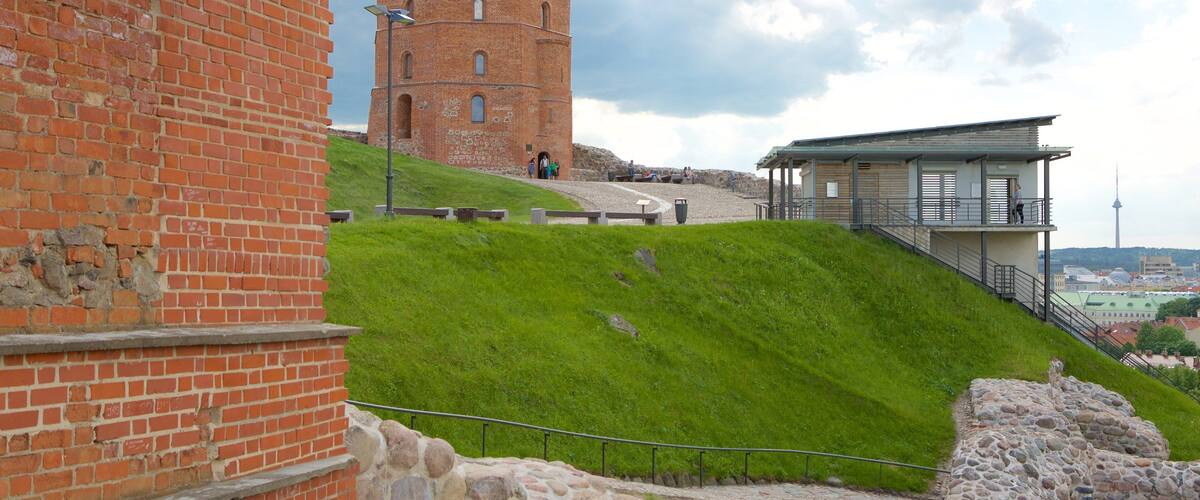 Higher ์ ๋ณด์ฌ์ฃผ๋ ์ ์ ๊ณผ ๋ฌธํ์ ์ฐ ์์